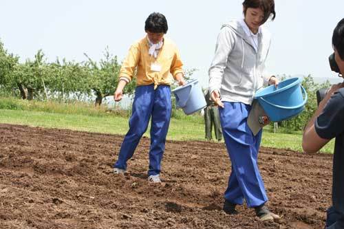 学生が粟・黍を播種をしている写真