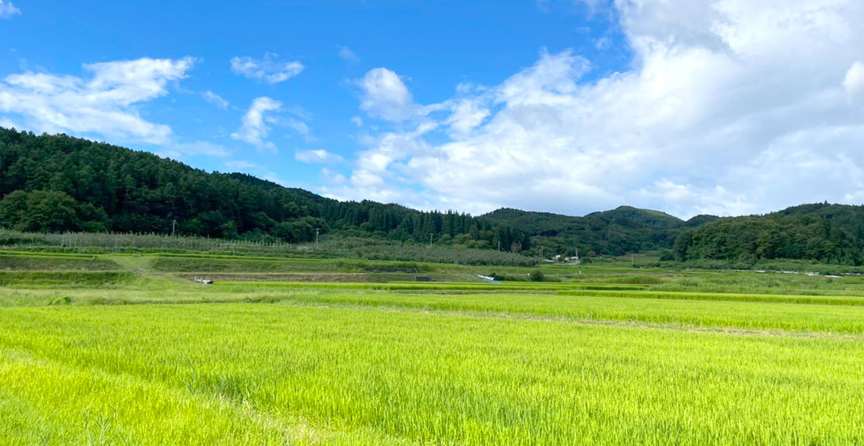 飯綱町で農業に触れる