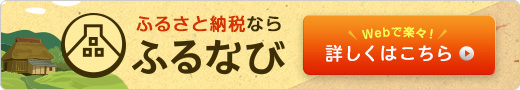 furunavi_banner520x90.jpg