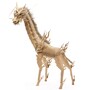 麒麟 ＿KIRIN＿1.jpg