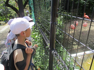 城山動物園 (1).JPG