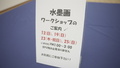 DSC04994.JPG