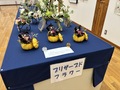 IMG_7029.jpeg