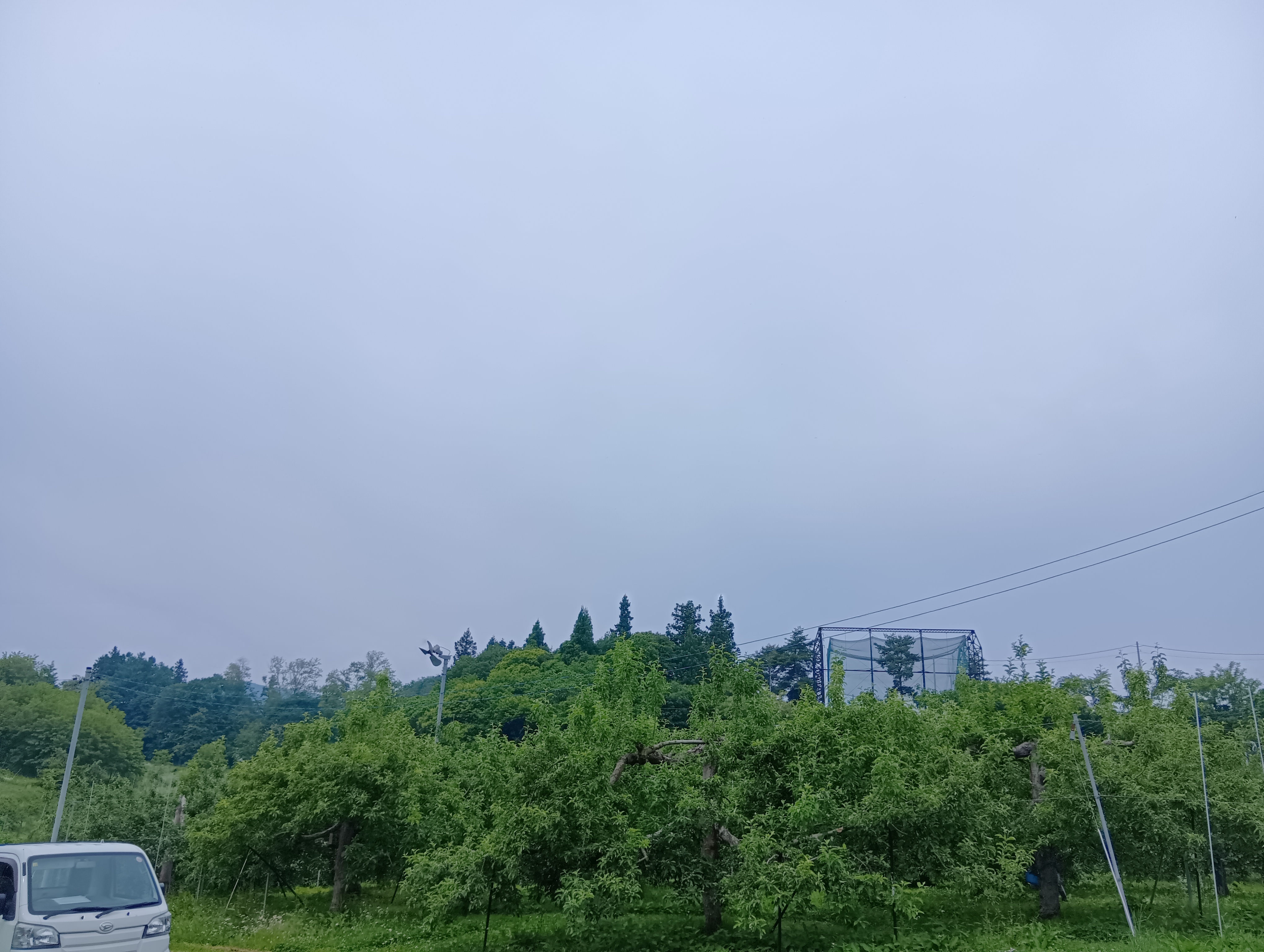 250608085444327.JPG