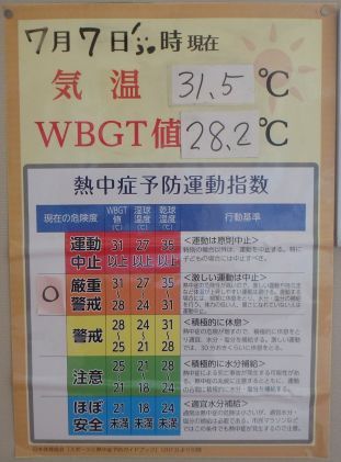 ◆P7070001.JPG
