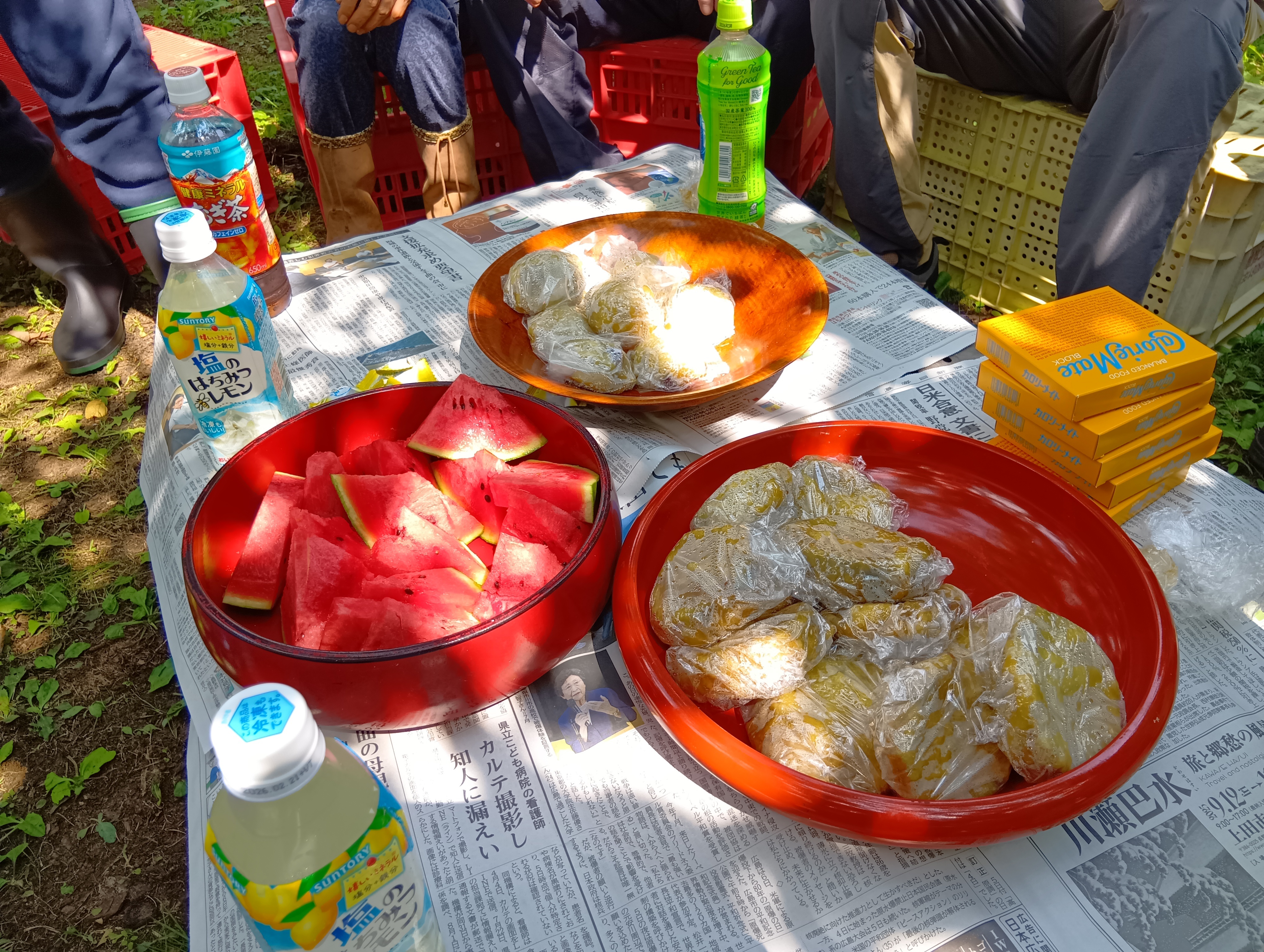 250820100843287.JPG