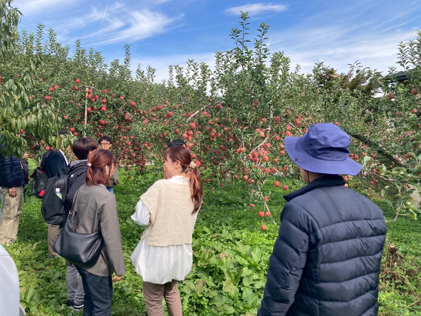 07_りんごの魅力発見ツアー (3).jpeg