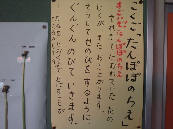 ◆P5130033.JPG