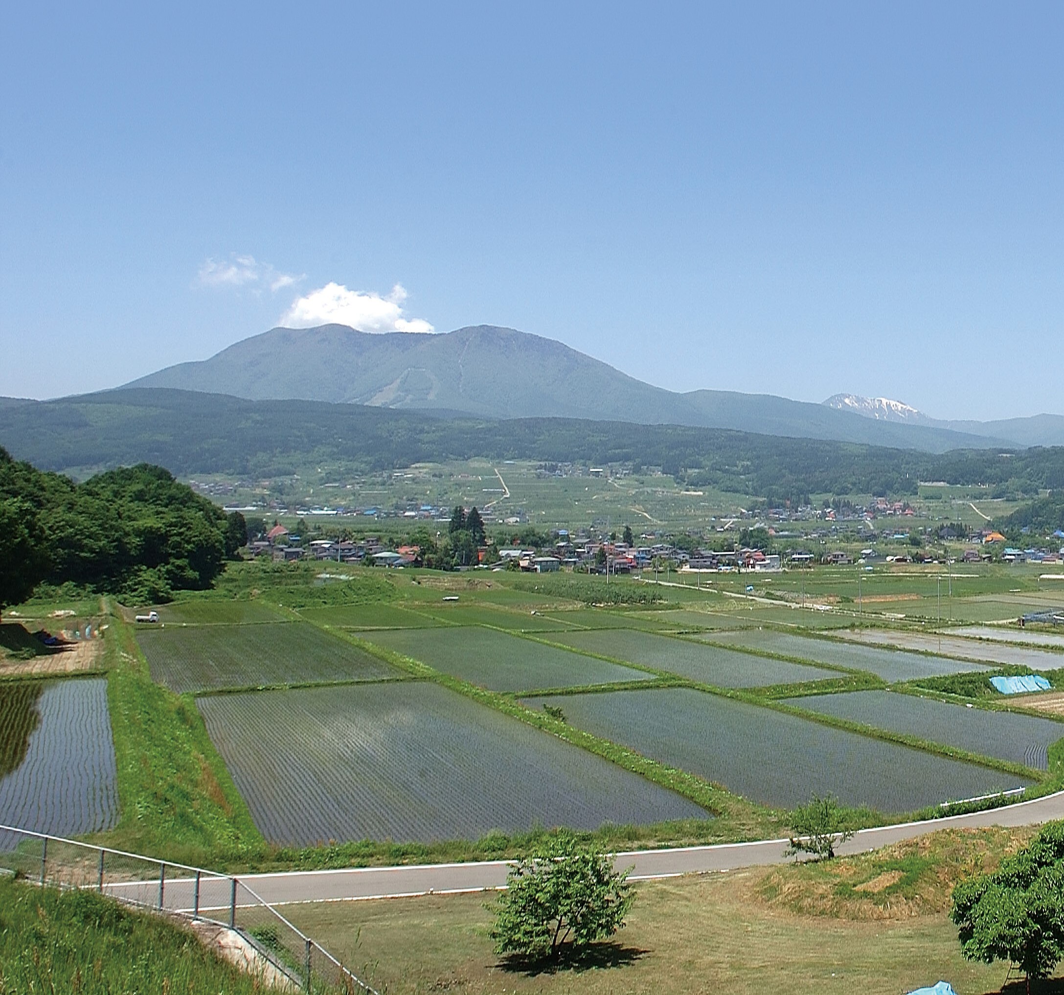 日経011.jpg