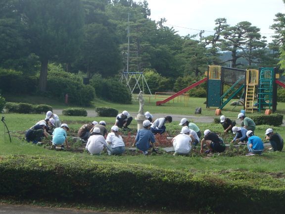 ◆P6290008.JPG