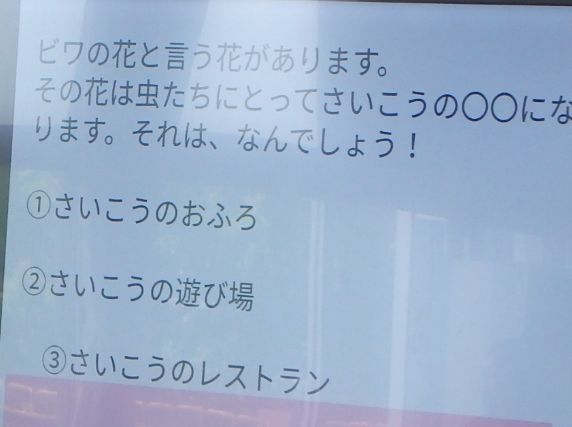 ◆P7210020.JPG