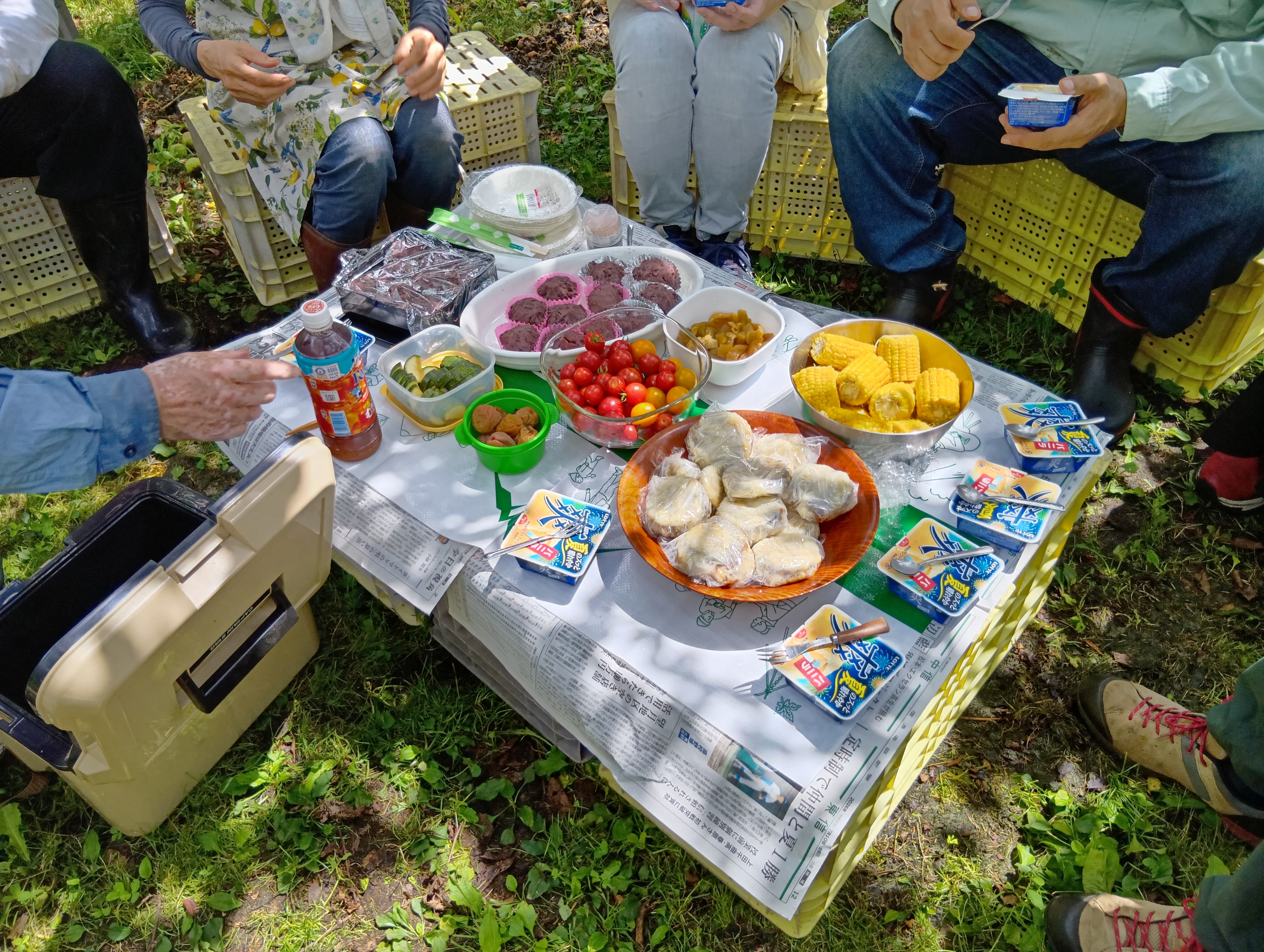 260809105317836.JPG