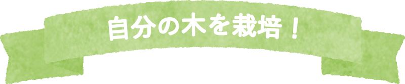 さらにステップアップ