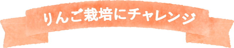 ２年目からの